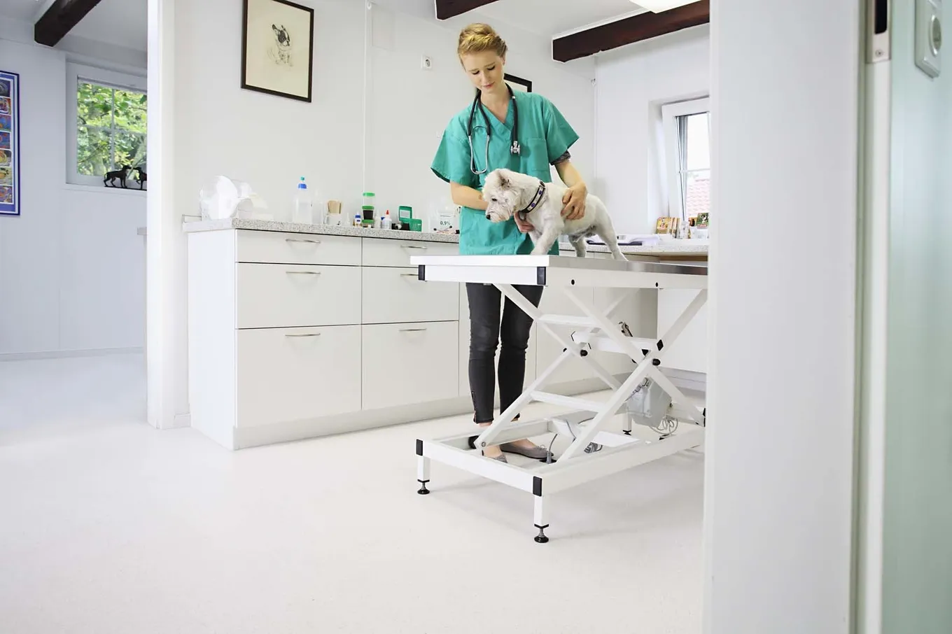 PURLINE in veterinary spaces